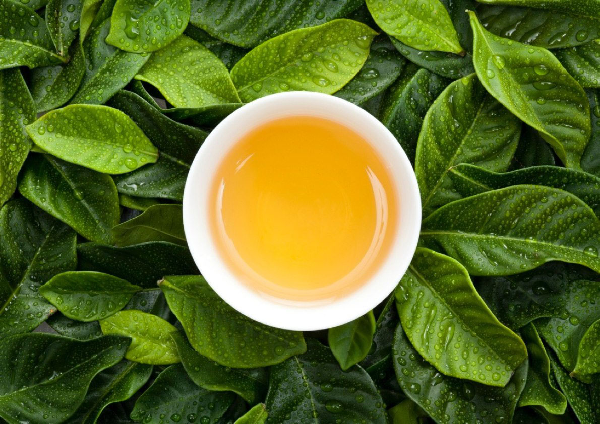 綠茶：源起與歷史