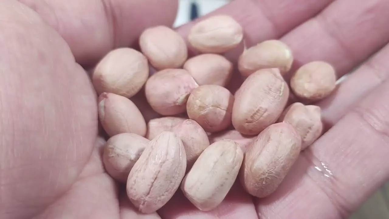 20 種富含維生素 C 的食物